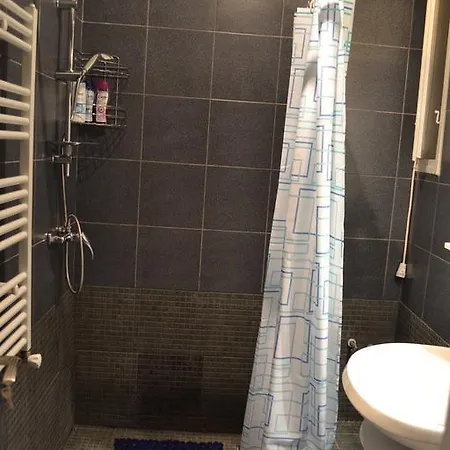 Apartment Victoria Studio Bucharest