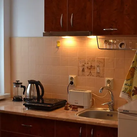 维多利亚一室公寓 * 布加勒斯特